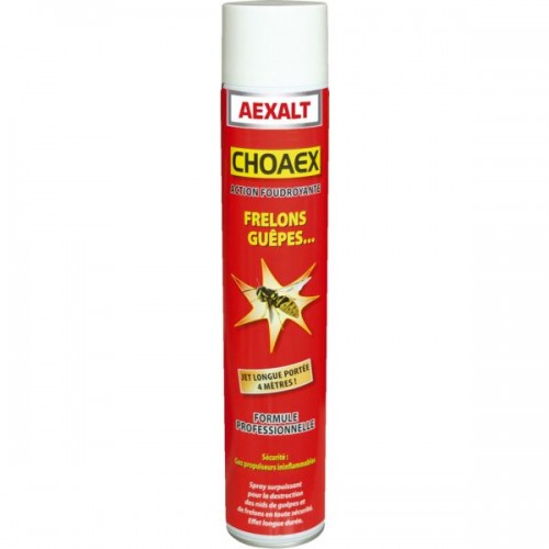INSECTICIDE SPECIAL GUEPE ET FRELON CHOAEX AEROSOL 1L