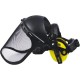 KIT PROTECTION DU VISAGE FORESTIER CASQUE ANTIBRUIT + VISIERE 15737