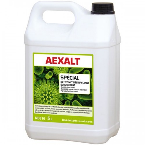 DESINFECTANT SPECIAL VO POUR GAINE VIDE ORDURES POUBELLES BIDON 5 L