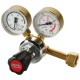 REGULATEUR DE GAZ LE250 L