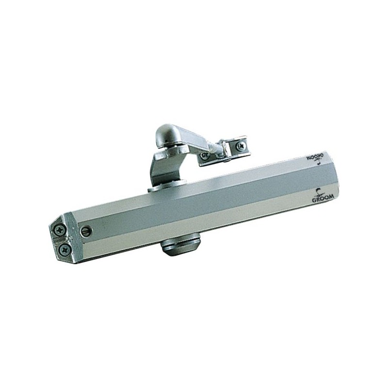 FERME PORTE ARGENT GR010 BRASREGLABLE STD 4