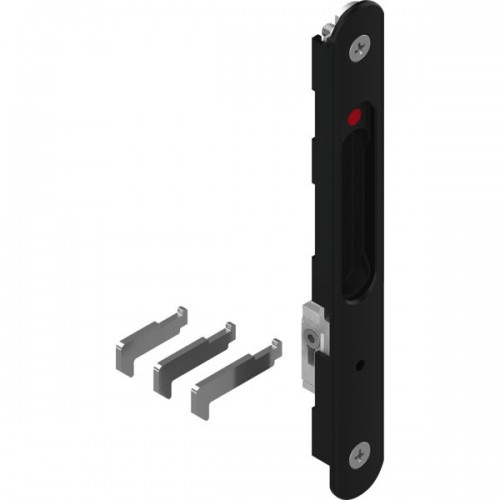 COQUILLE SILENE SPLE MAN