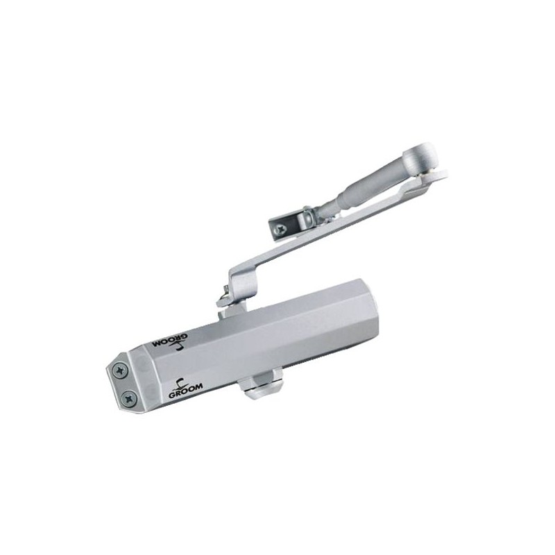 FERME PORTE ARGENT GR101 BRASREGLABLE STD 3