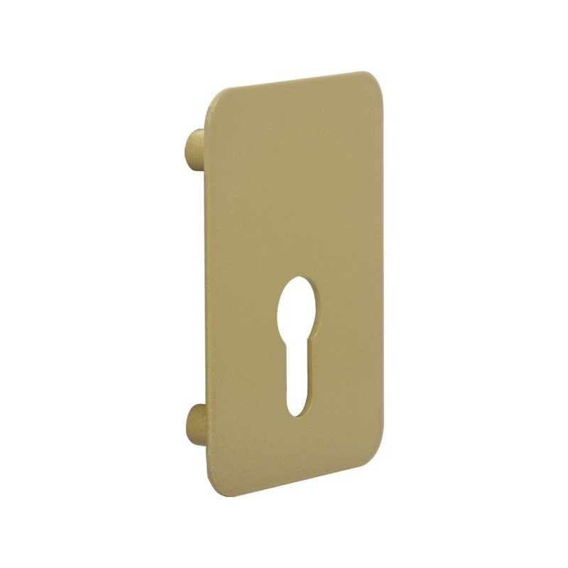 PLAQUE DE RENFORCEMENT ARNOV CYLINDRE EUROPEEN BRZ OR