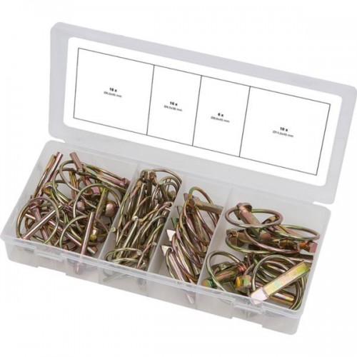 ASSORTIMENT DE GOUPILLES CLIPS 50 PCS